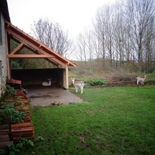 Auvent bois Douglas à Billy